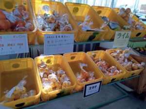 多々羅しまなみ公園