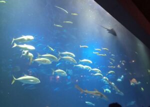 四国水族館