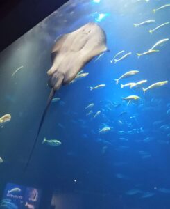 四国水族館