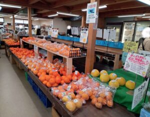 アリストぬまくま自由市場