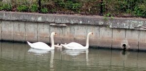 蓮池公園