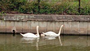 蓮池公園