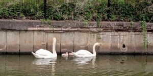 蓮池公園