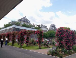 ばらのまち福山