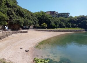 仙酔島
