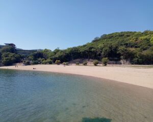 仙酔島