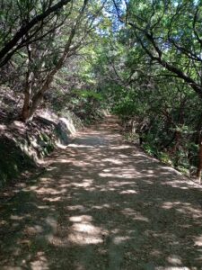 仙酔島
