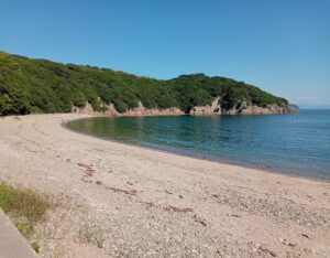 仙酔島