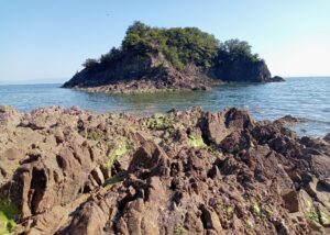仙酔島