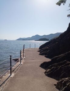 仙酔島