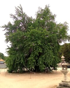 備後一宮吉備津神社