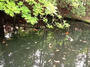 備後一宮吉備津神社