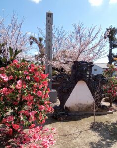 観音寺