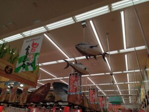ロピア新市店