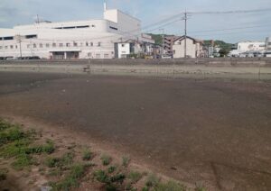 松永湾干潟