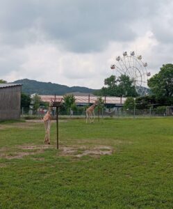 秋吉台サファリランド