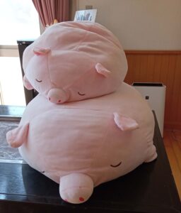 よこしまファーム直売所