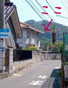 よこしまファーム直売所