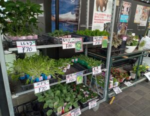 道の駅びんご府中