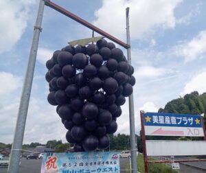 星の郷青空市
