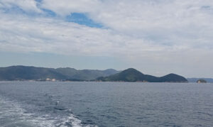 仙酔島