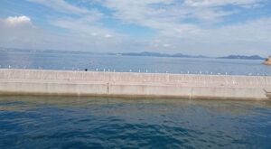 走島
